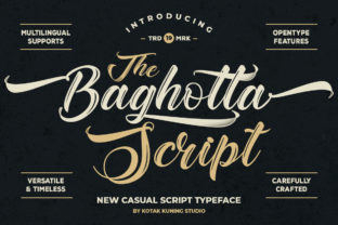 Baghotta: A Bold Handwritten Font for Campaigns