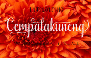 Cempalakuneng: The Modern Calligraphy Font for Campaigns