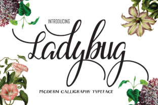 Ladybug: A Romantic Script Font for Marketers