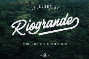 Riogrande: A Romantic Handwritten Font for Web Design
